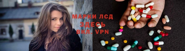 ПСИЛОЦИБИНОВЫЕ ГРИБЫ Краснослободск