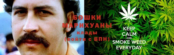 ПСИЛОЦИБИНОВЫЕ ГРИБЫ Краснослободск