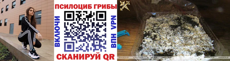 Галлюциногенные грибы Psilocybe  Купить где  Агидель 